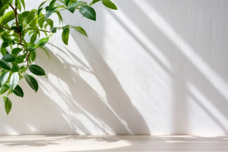 Leafy green branch casting shadows on a sunlit white textured wall in a minimalist interior