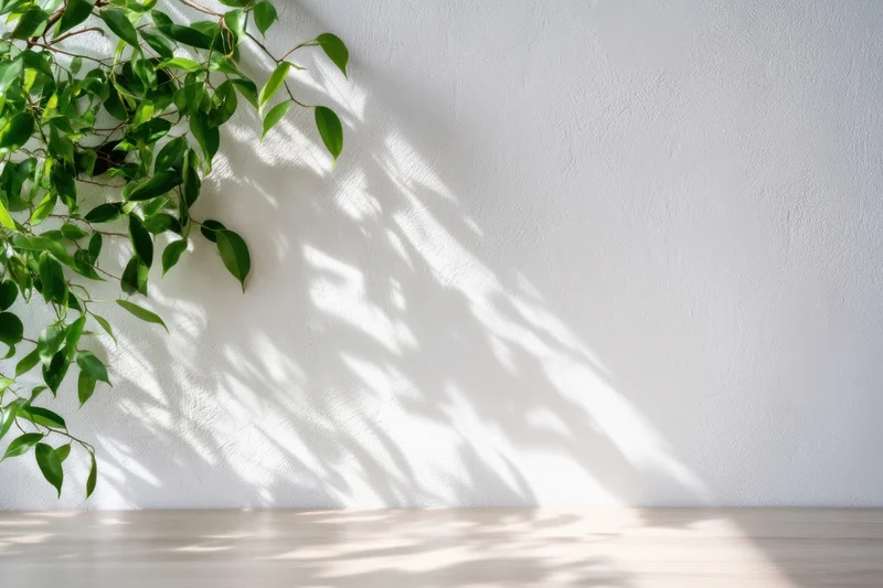 Green leafy branch casting shadows on a sunlit white textured wall above a wooden floor