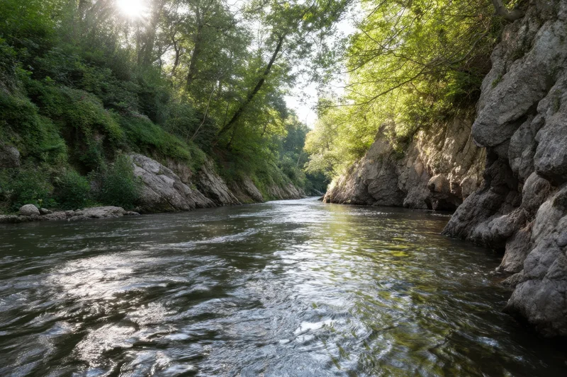 River flowing through a forested canyon with sunlight filtering through trees