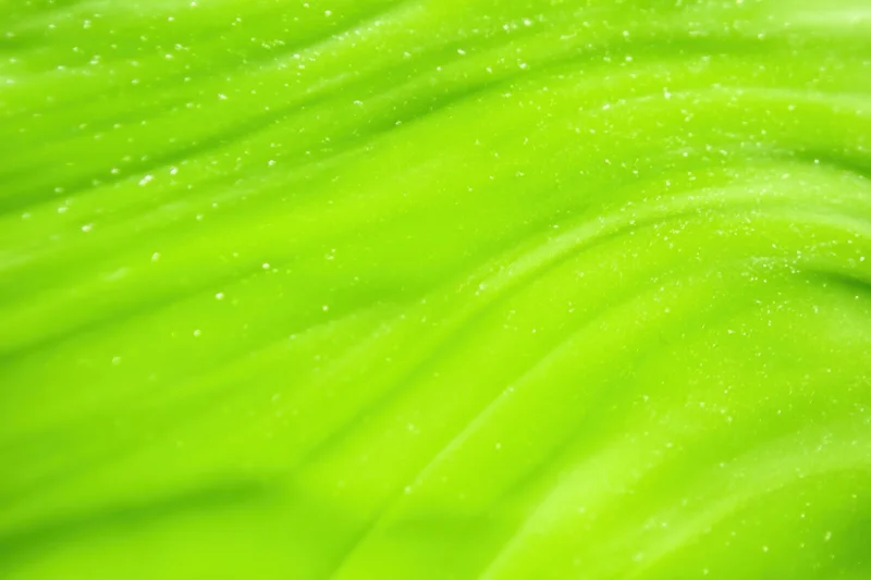 Closeup of a vibrant lime-green leaf surface with soft gradient and water droplets