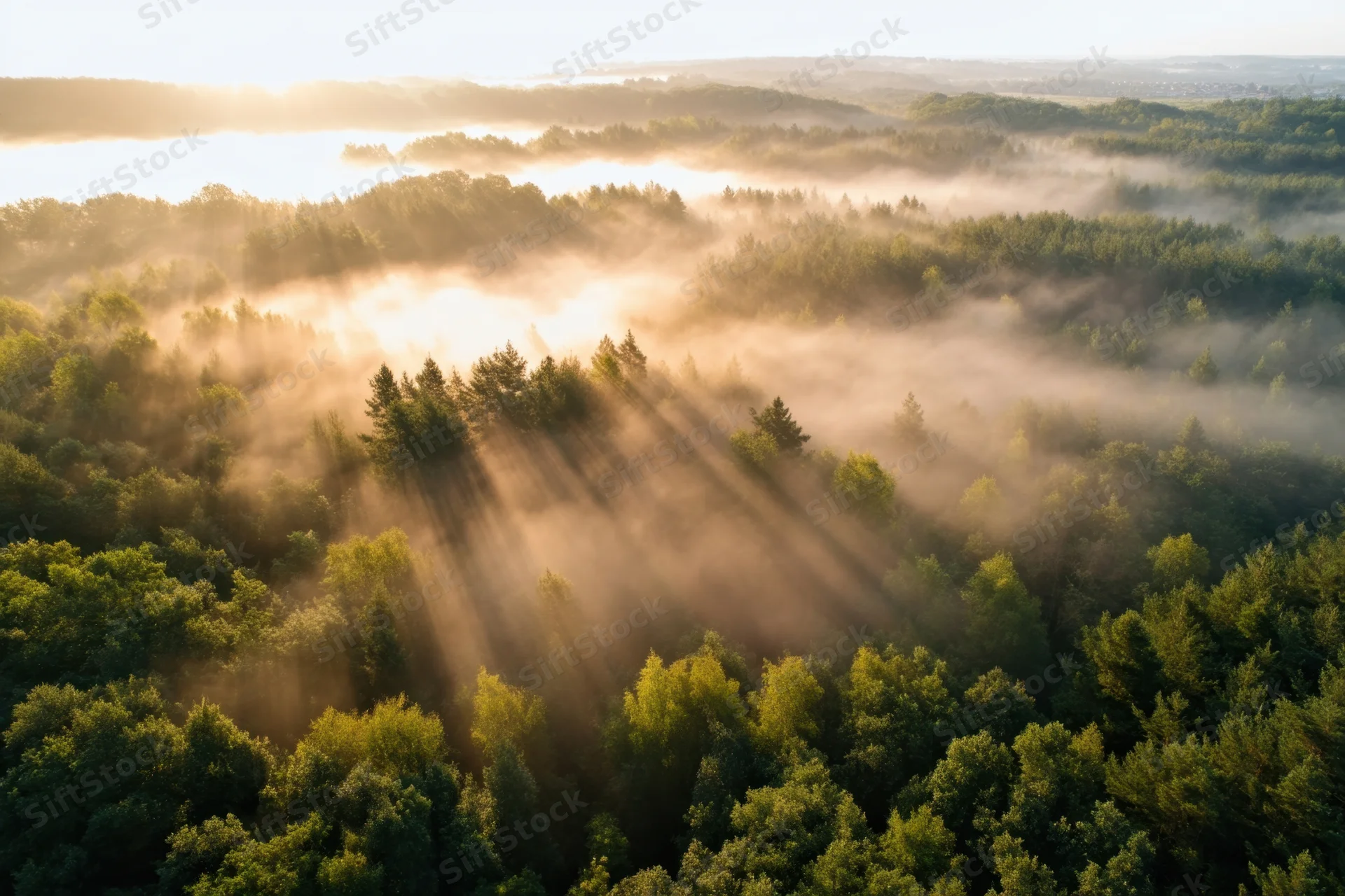 Aerial view of misty forest at dawn with sunbeams cutting through fog