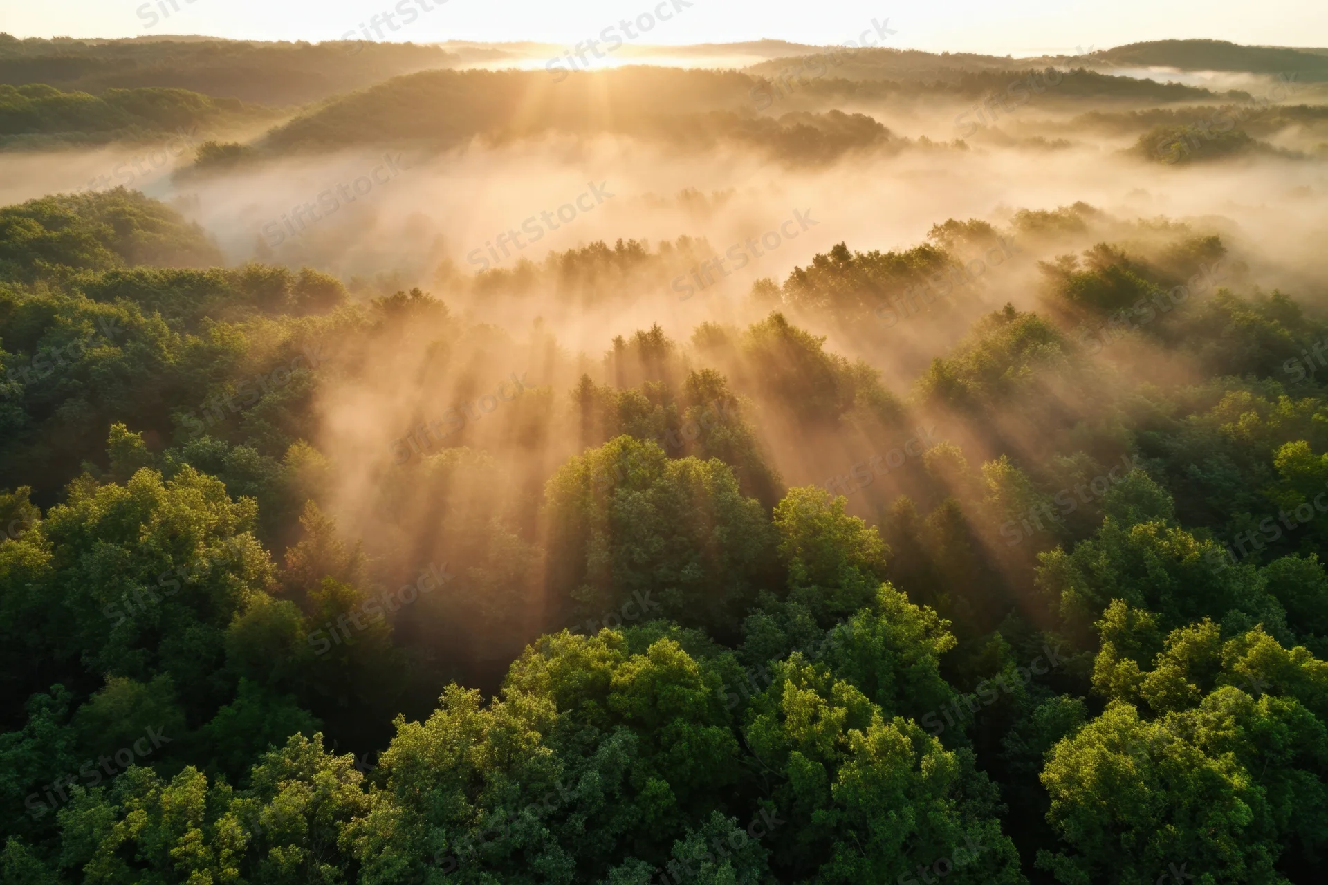 Aerial view of misty forest at dawn with sunbeams cutting through fog