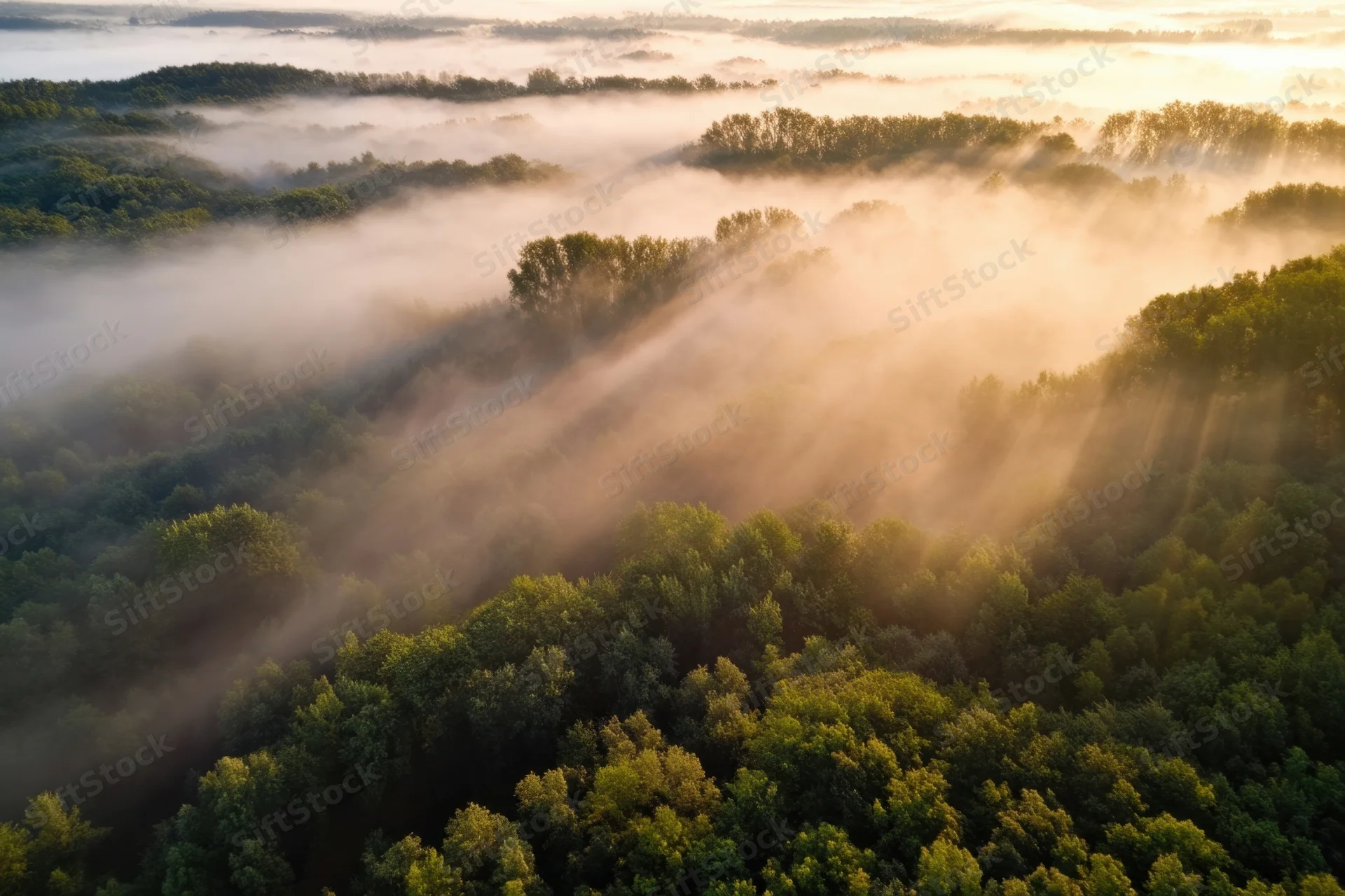 Aerial view of misty forest at dawn with sunbeams cutting through fog