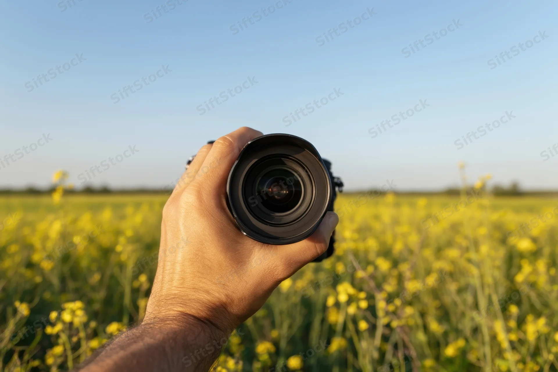 Hand holding camera lens over a sunlit canola field in spring