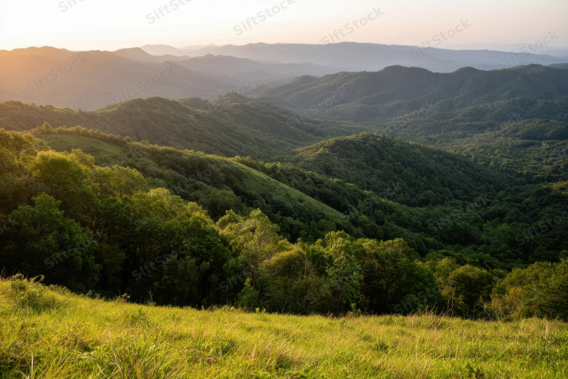 Panoramic view of rolling green hills and dense forest at sunset