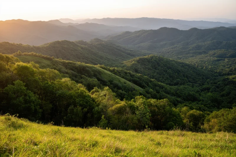 Panoramic view of rolling green hills and dense forest at sunset