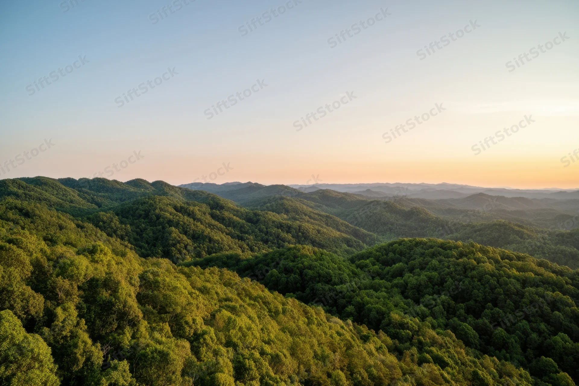 Panoramic view of rolling green hills covered in dense forest under soft sunset light