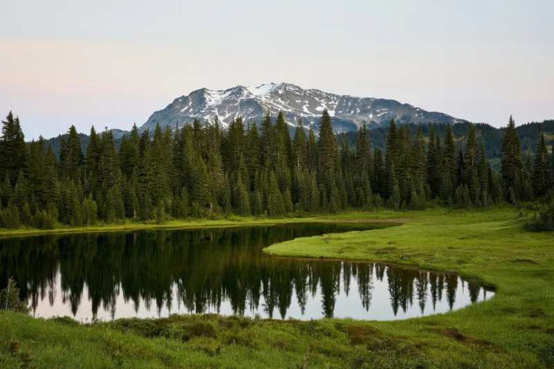 Alpine lake reflecting dense evergreen forest and snow-capped mountain in serene landscape