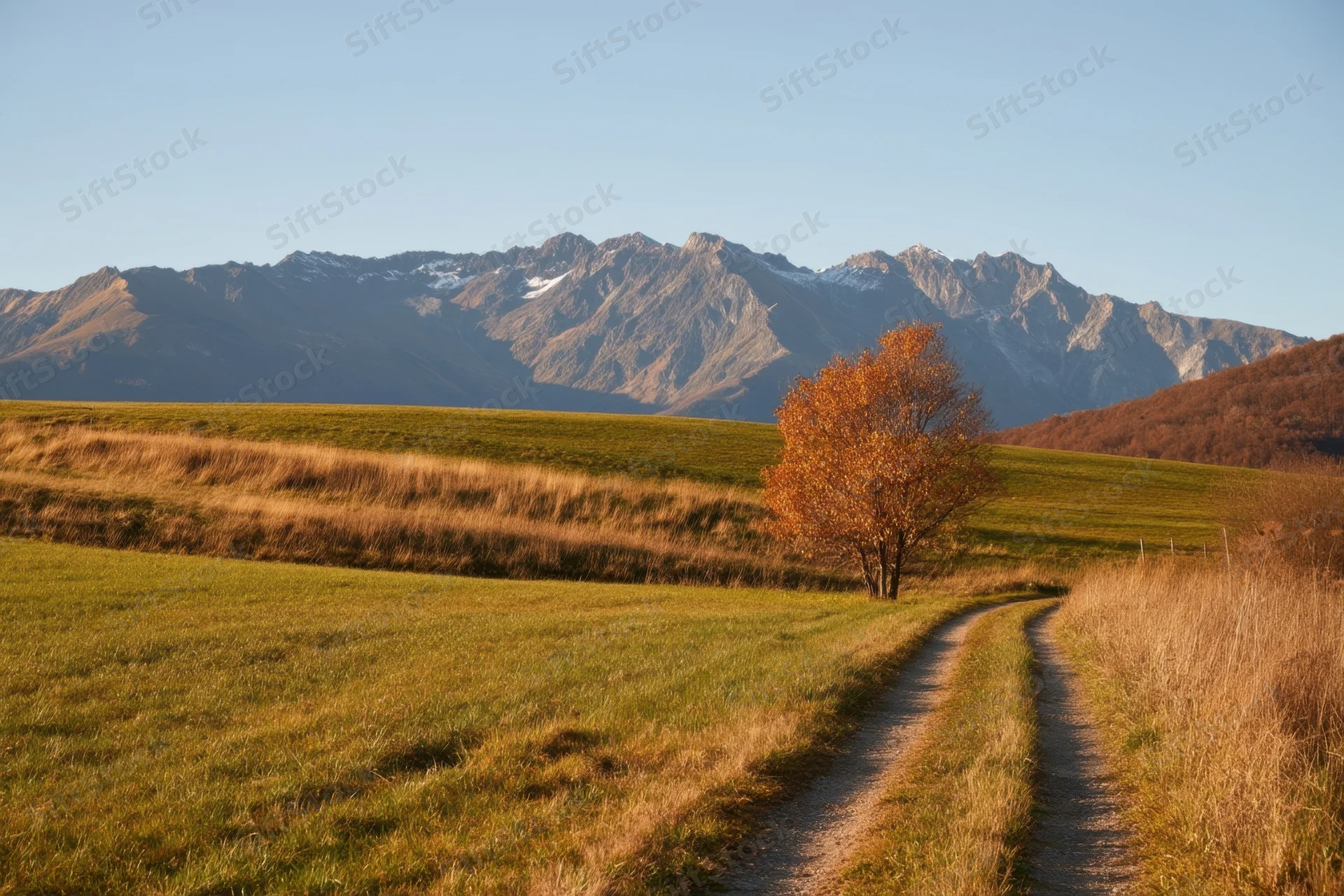 A winding dirt path through a grassy field with a lone orange tree beside it, leading toward distant snow-dusted mountains under a clear blue sky