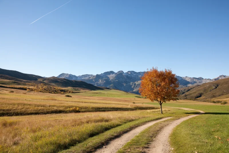 Lone orange tree beside winding dirt path through grassy field with mountains in background