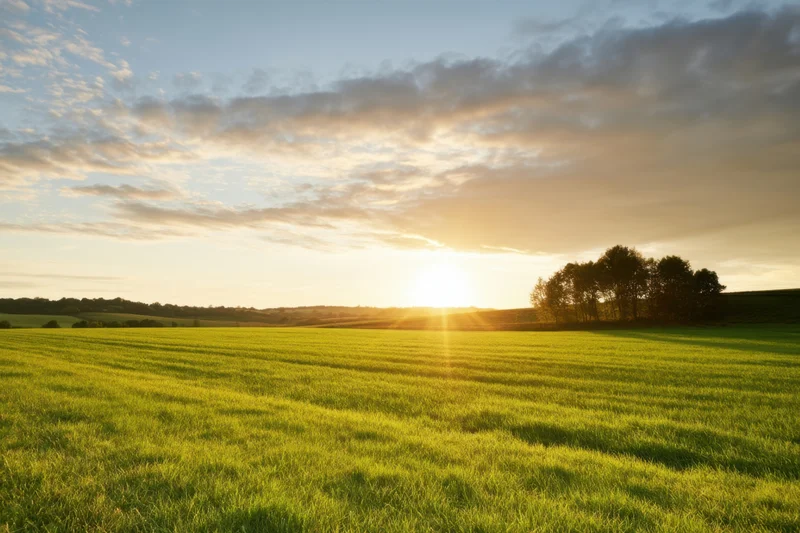 Sun setting over a vibrant green field in the countryside with scattered clouds and distant trees