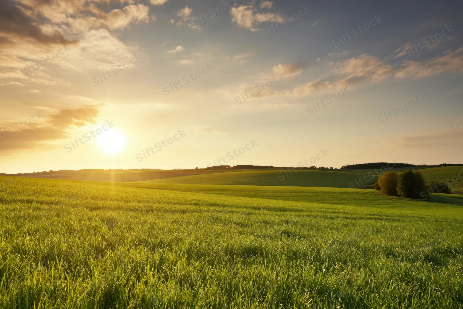 Sunlit green fields rolling under a cloudy sky at sunset