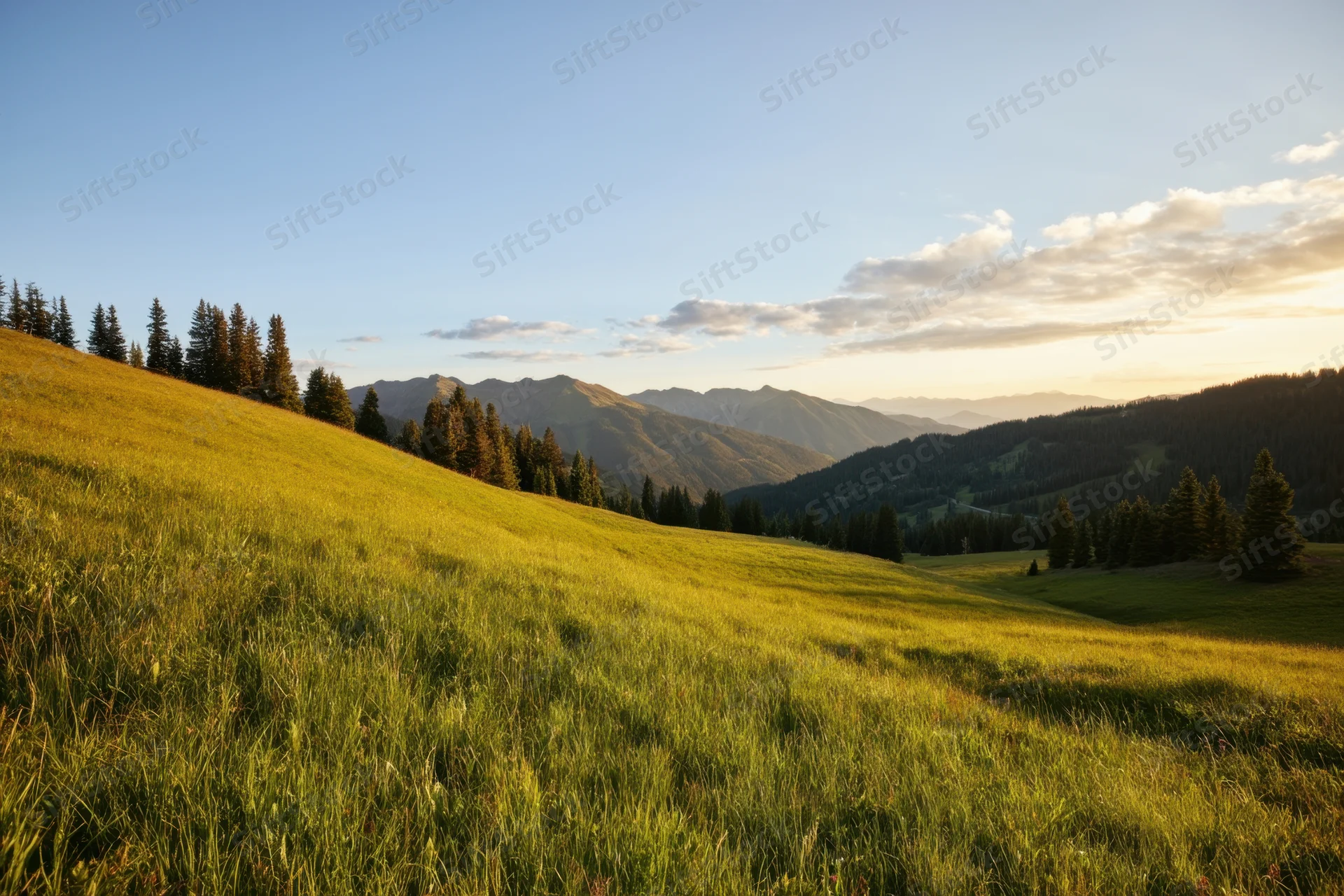 Sunlit green meadow on a gentle hill with distant mountains and scattered trees under a clear sky