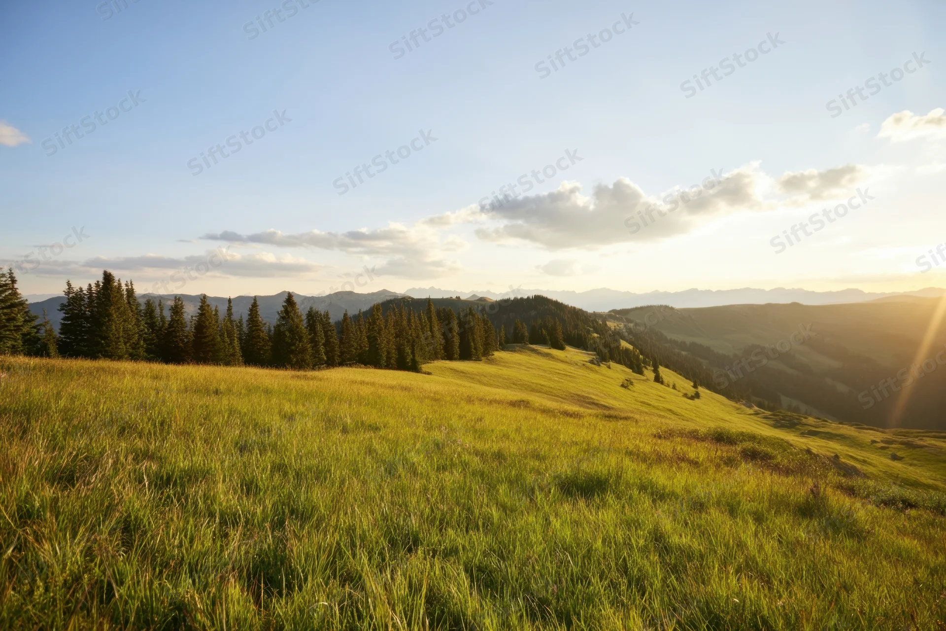 Sunlit green meadow on a gentle hill with distant mountains and scattered clouds under a clear sky