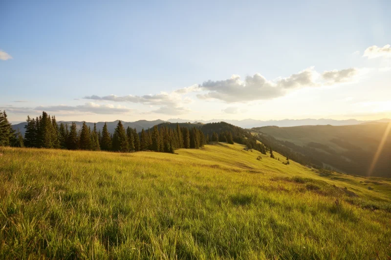 Sunlit green meadow on a gentle hill with distant mountains and scattered clouds under a clear sky