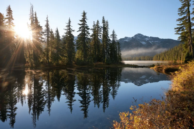 Alpine lake reflecting tall pine trees and snow-capped mountains at sunrise