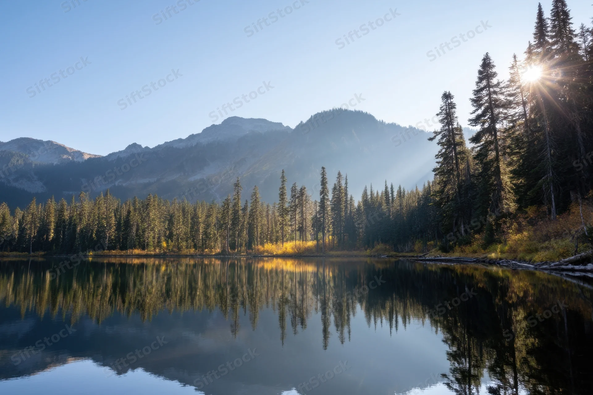 Calm alpine lake reflecting pine forest and mountains at sunrise