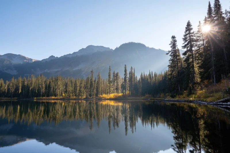 Calm alpine lake reflecting pine forest and mountains at sunrise