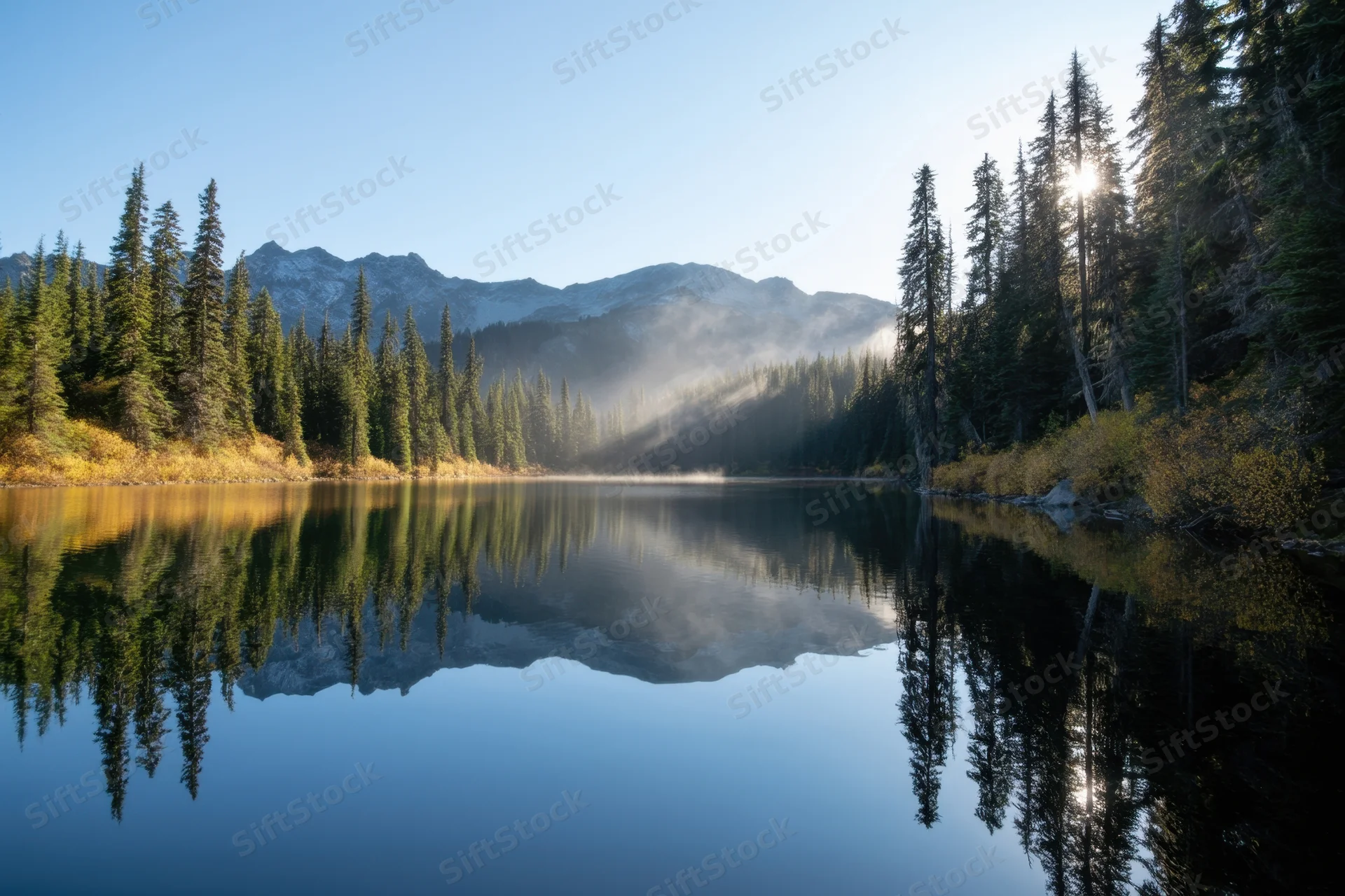 Calm alpine lake reflecting pine forest and mountains at dawn
