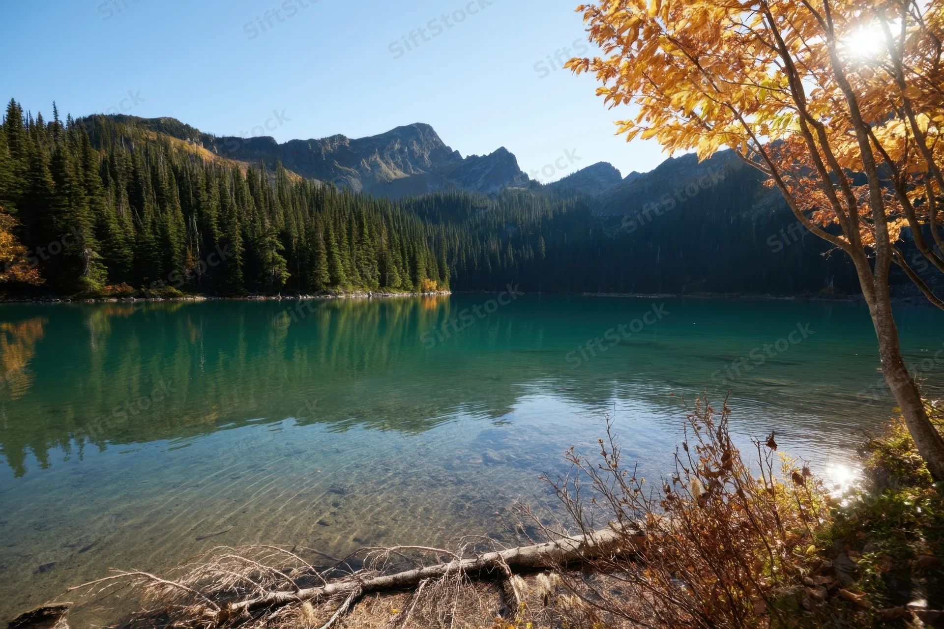 Tranquil alpine lake with turquoise water reflecting mountains and pine forest in autumn, framed by golden foliage and a sunlit shore