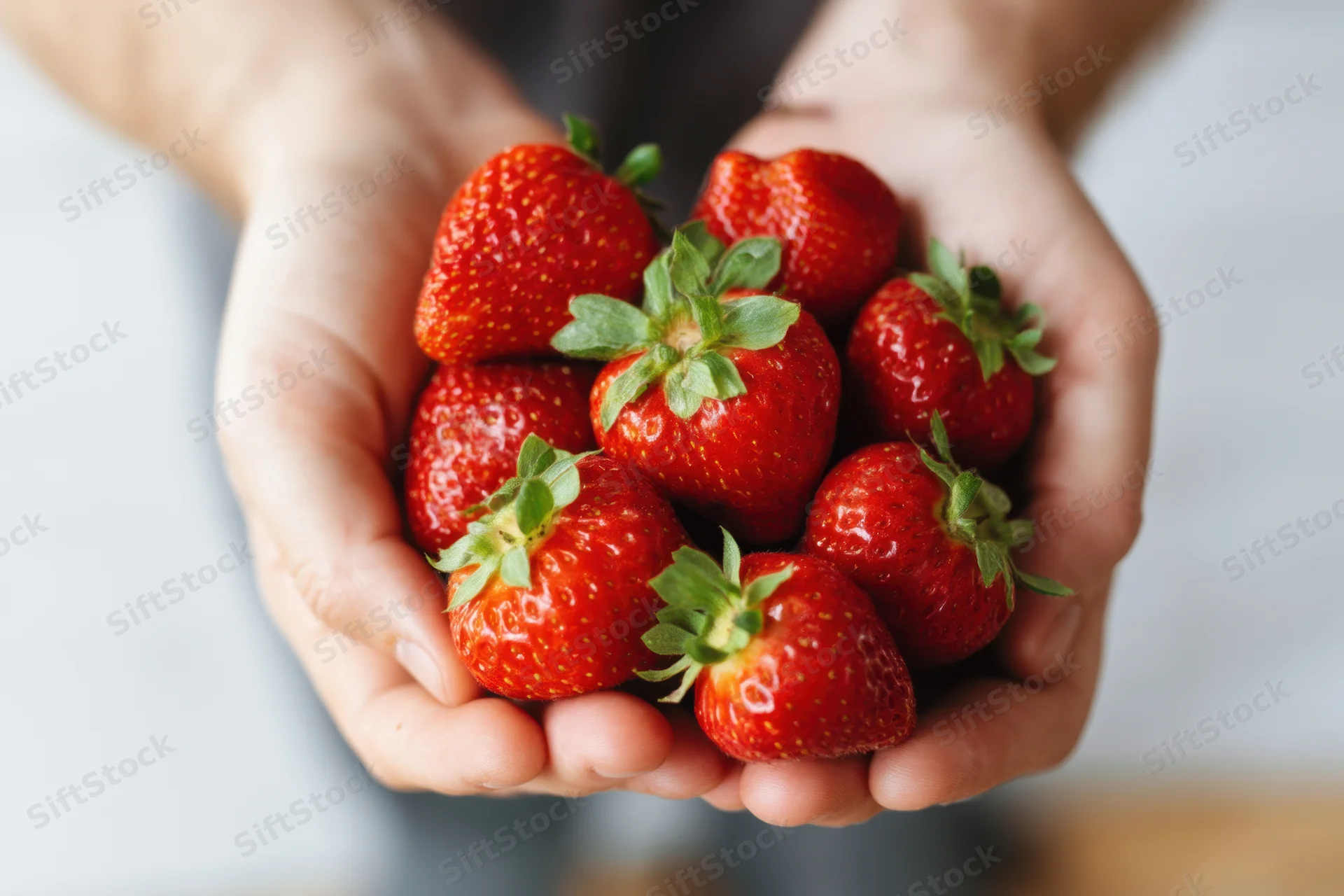 Hands holding a handful of ripe strawberries with green stems and leaves