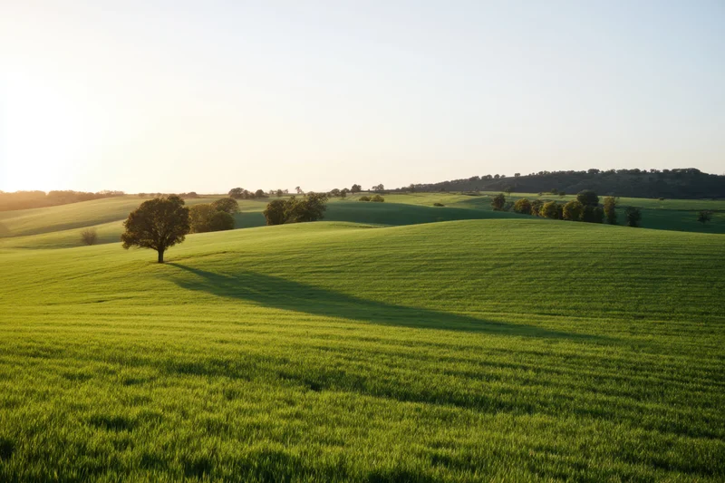 Rolling green fields under golden sunlight with solitary tree on hills