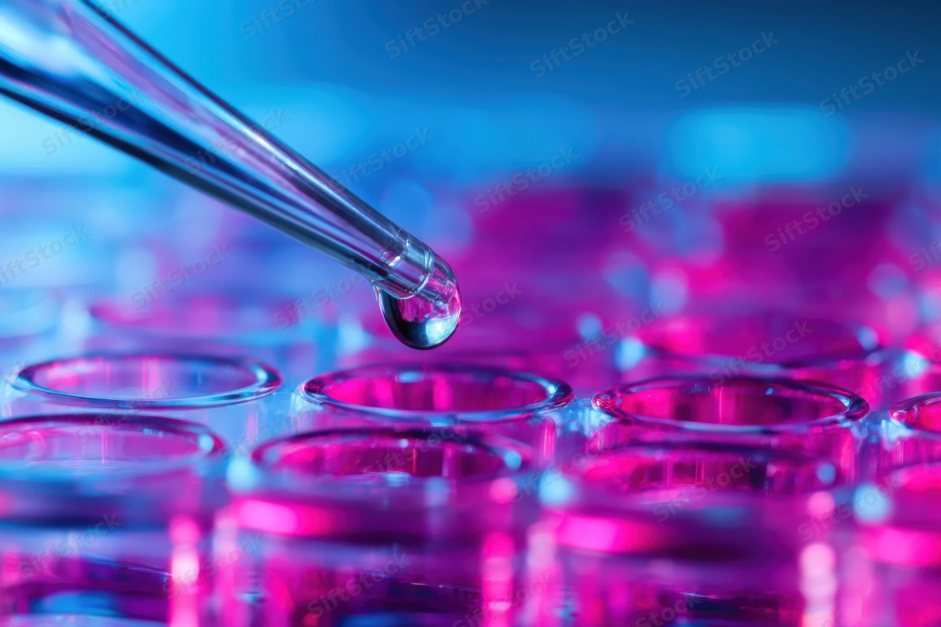 Glass pipette releasing a droplet onto a multi-well plate in a lab setting