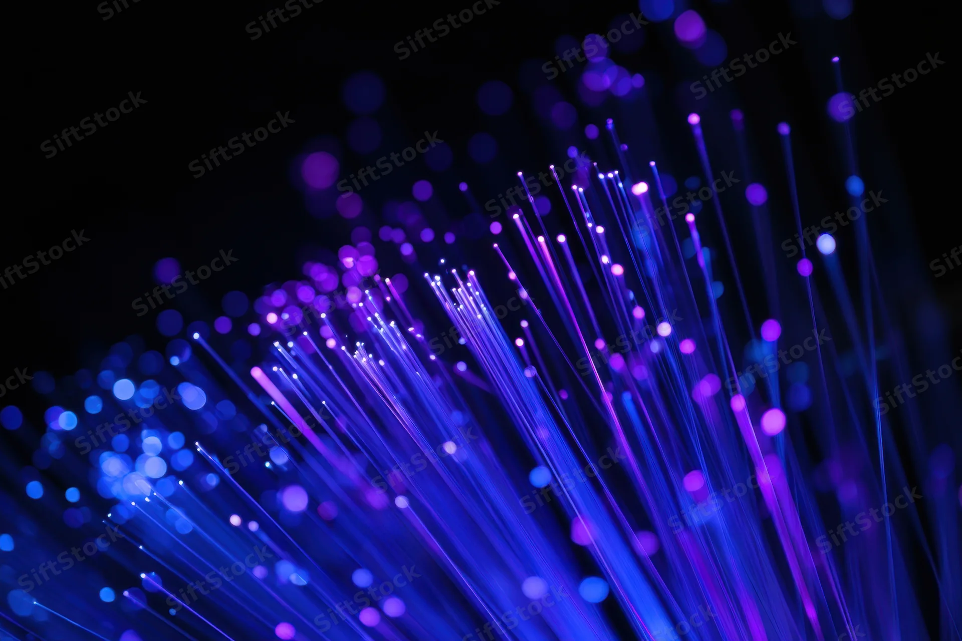 Glowing blue and purple fiber-optic strands against a dark background