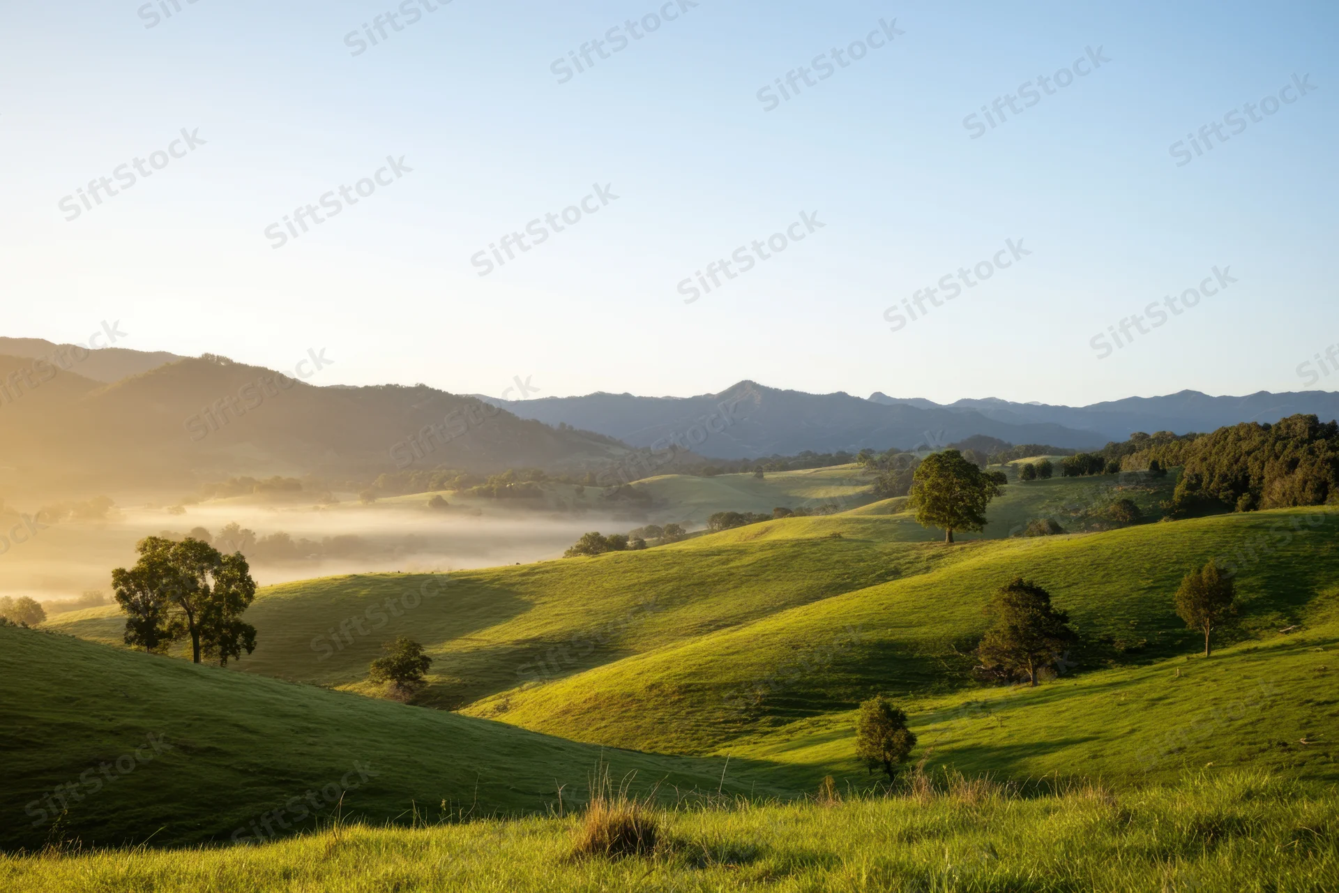 Rolling green hills under warm morning sunlight with mist in the valley at dawn