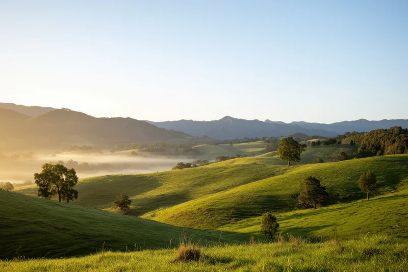 Rolling green hills under warm morning sunlight with mist in the valley at dawn