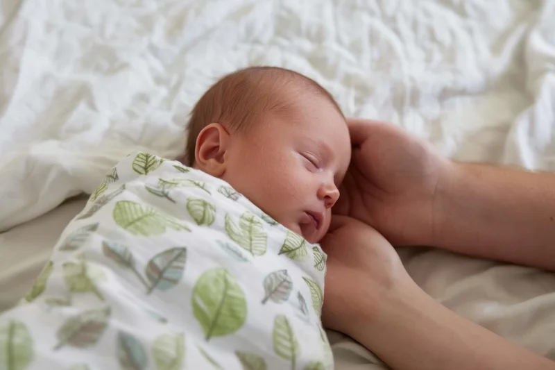 Newborn sleeping swaddled in leaf-pattern blanket held by hands on bed