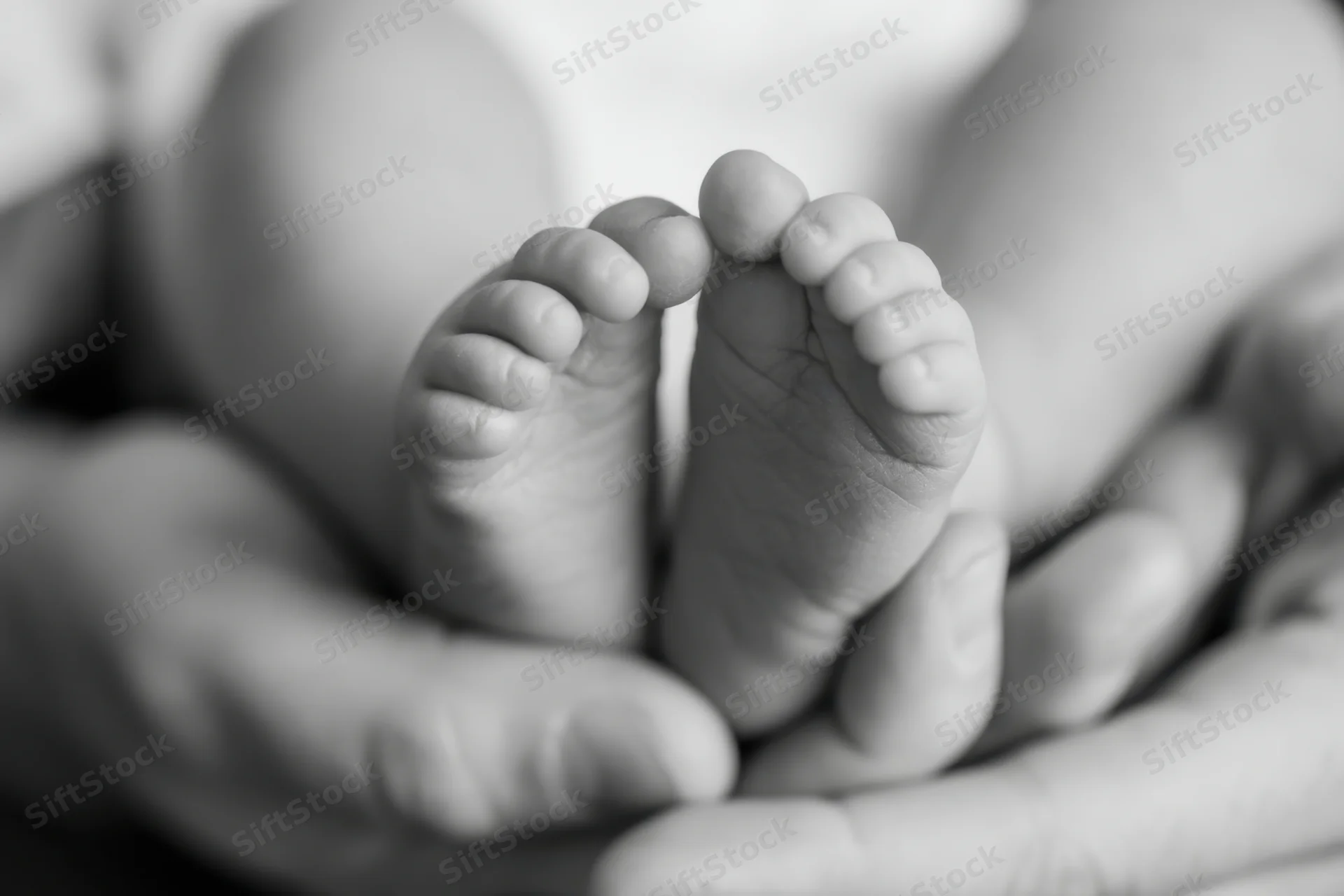 Newborn's tiny feet cradled in adult hands closeup grayscale