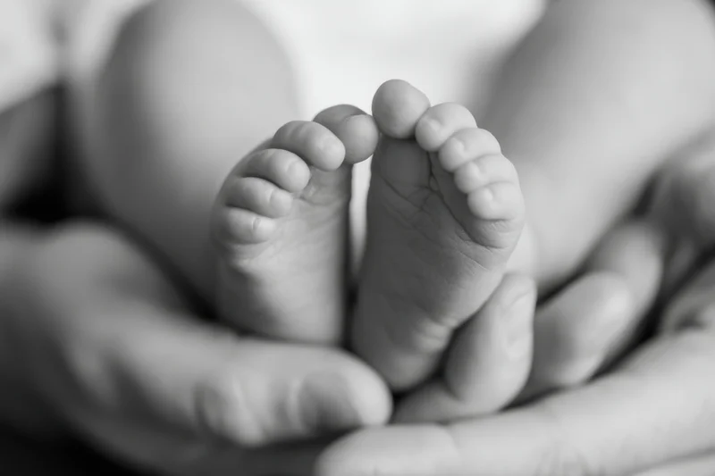 Newborn's tiny feet cradled in adult hands closeup grayscale
