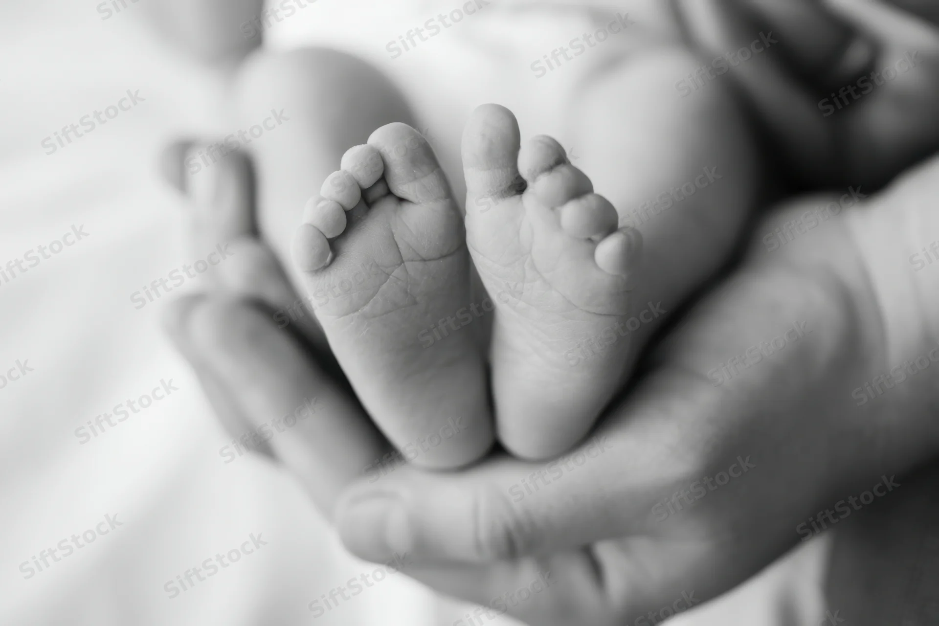 Newborn's tiny feet cradled in adult hands closeup grayscale