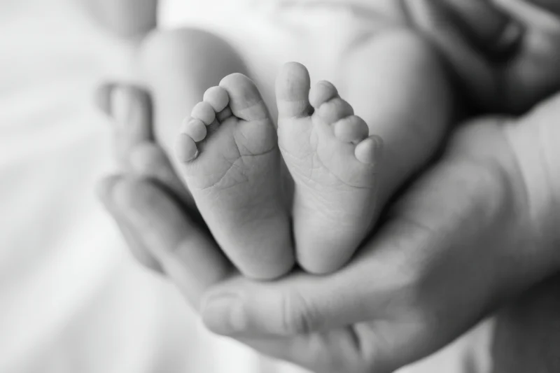 Newborn's tiny feet cradled in adult hands closeup grayscale