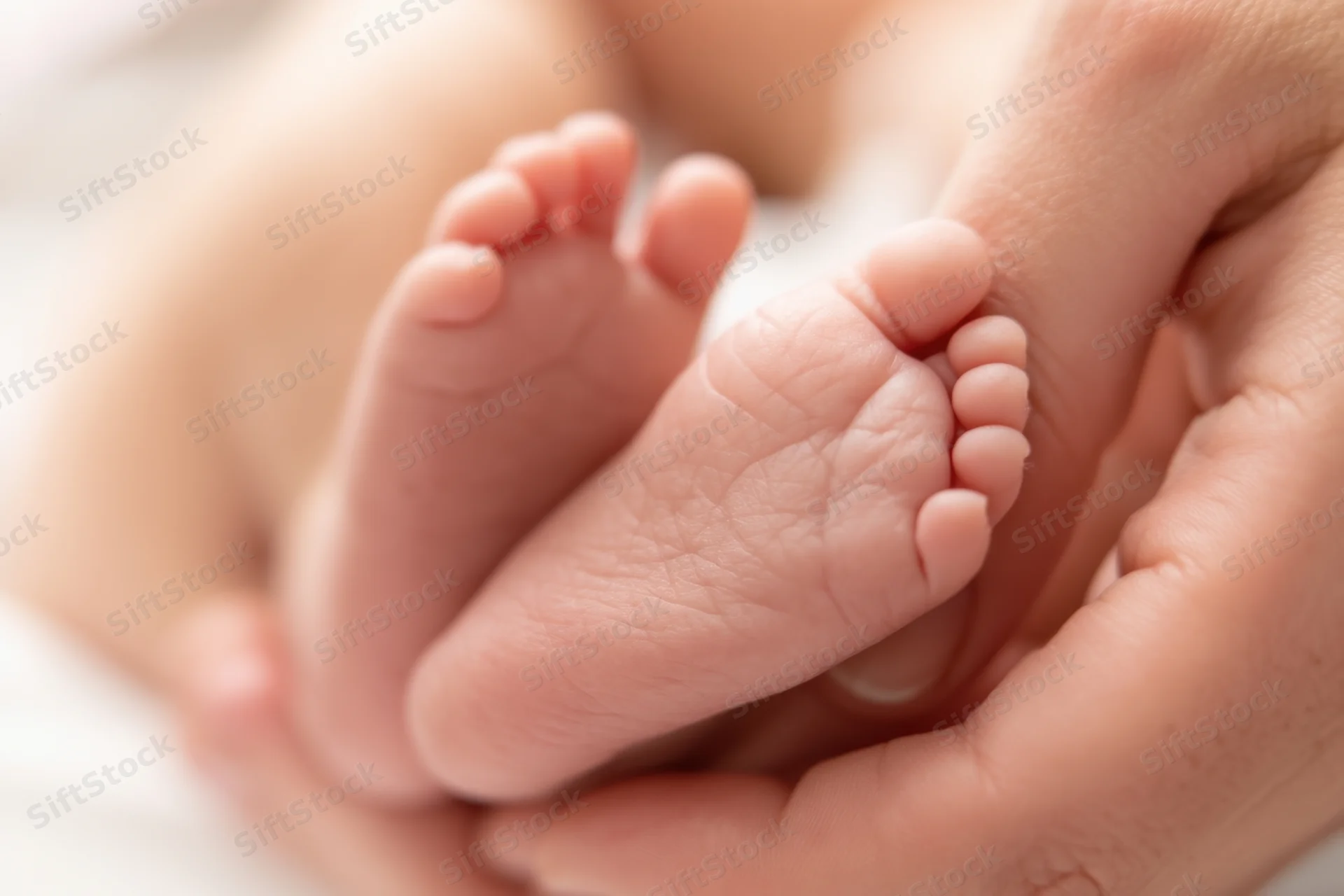 Newborn baby feet cradled in adult hands closeup
