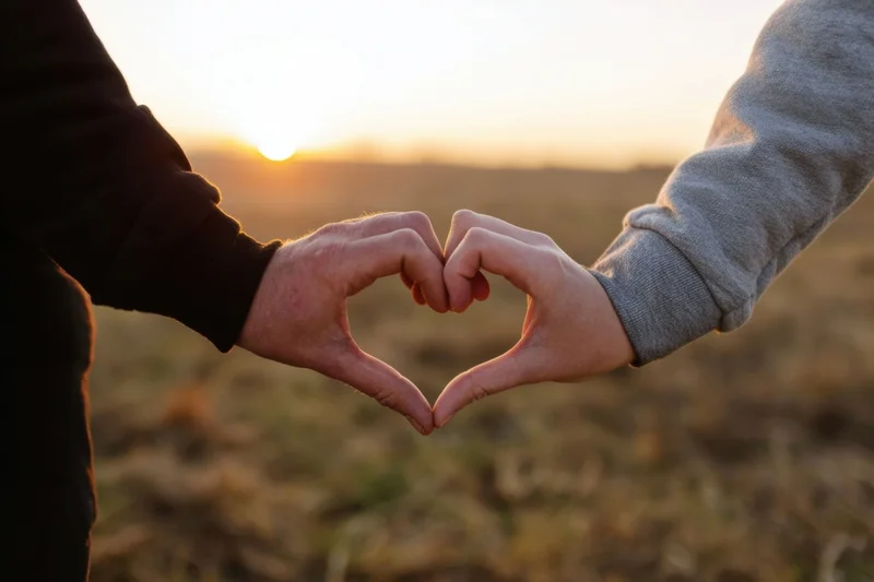 Two hands forming a heart shape at sunset in a field