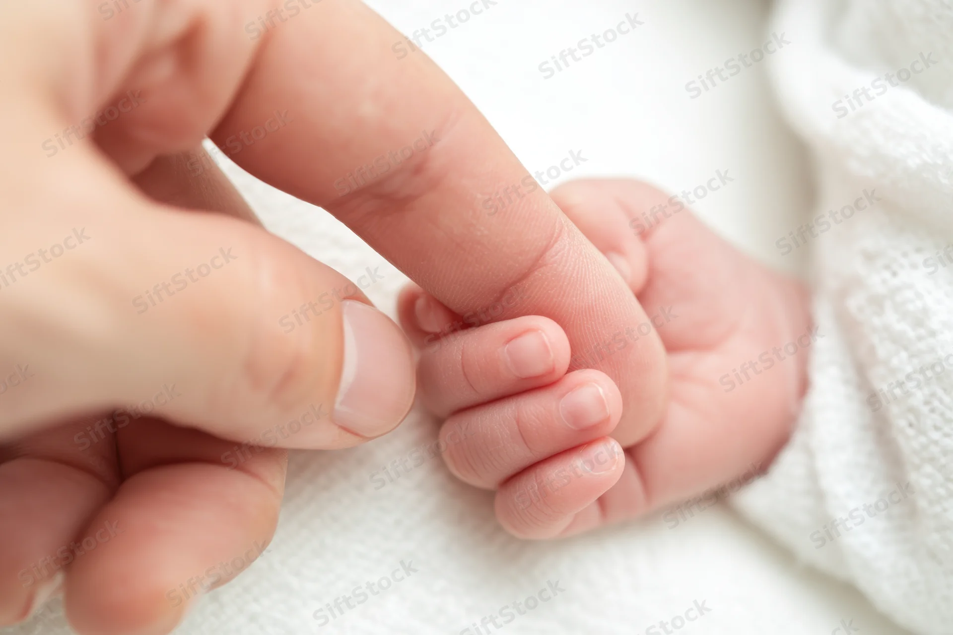 Newborn baby’s hand gently holding an adult’s finger on a white knitted blanket