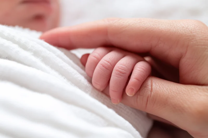 Newborn baby's hand holding adult finger wrapped in white blanket