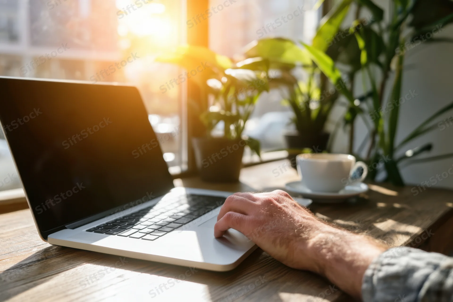 Hand typing on laptop at wooden desk by sunlit window with plants and coffee cup