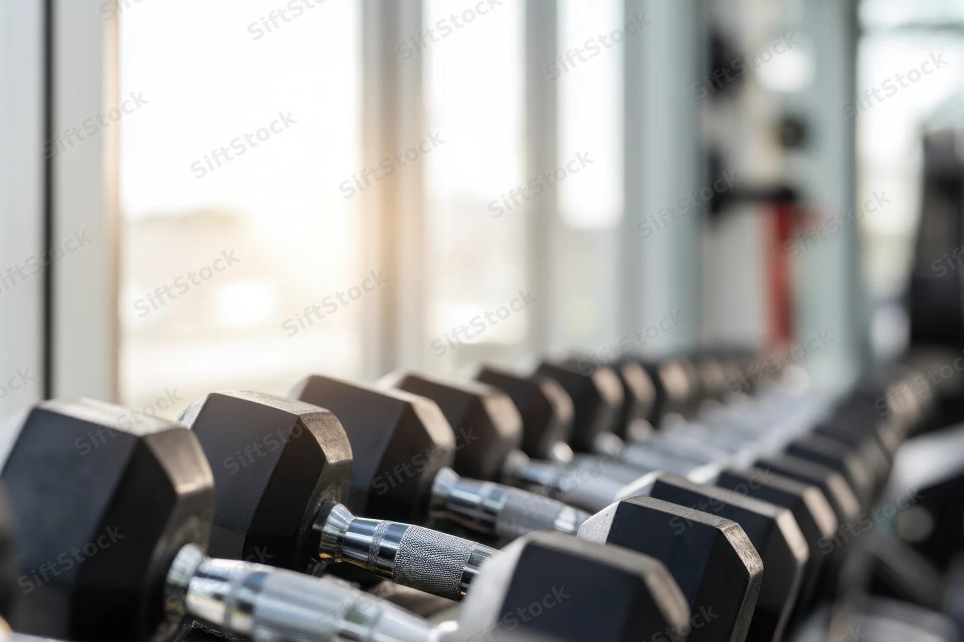 Row of dumbbells aligned on rack in bright gym with sunlight streaming through windows