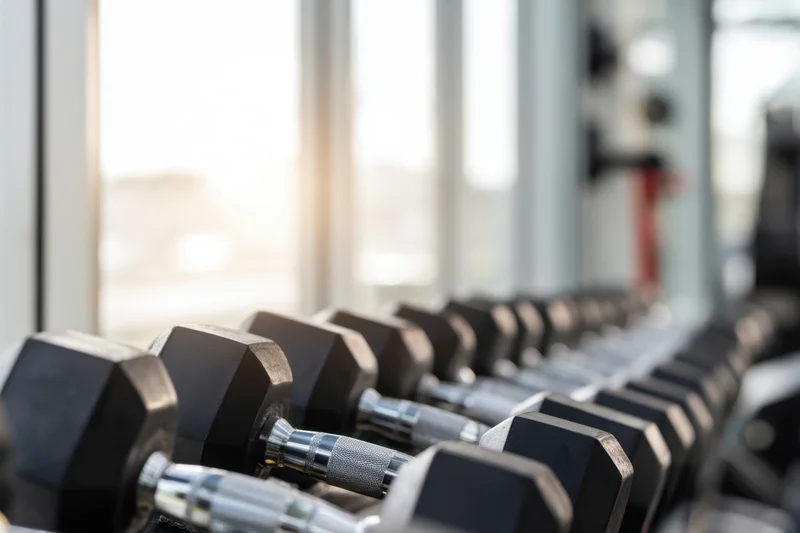 Row of dumbbells aligned on rack in bright gym with sunlight streaming through windows