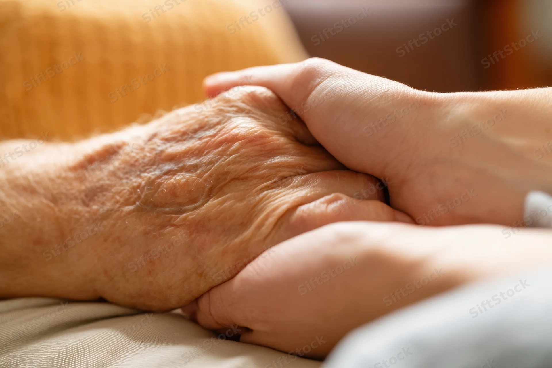 Closeup of a young hand holding an elderly person's wrinkled hand in a tender supportive gesture