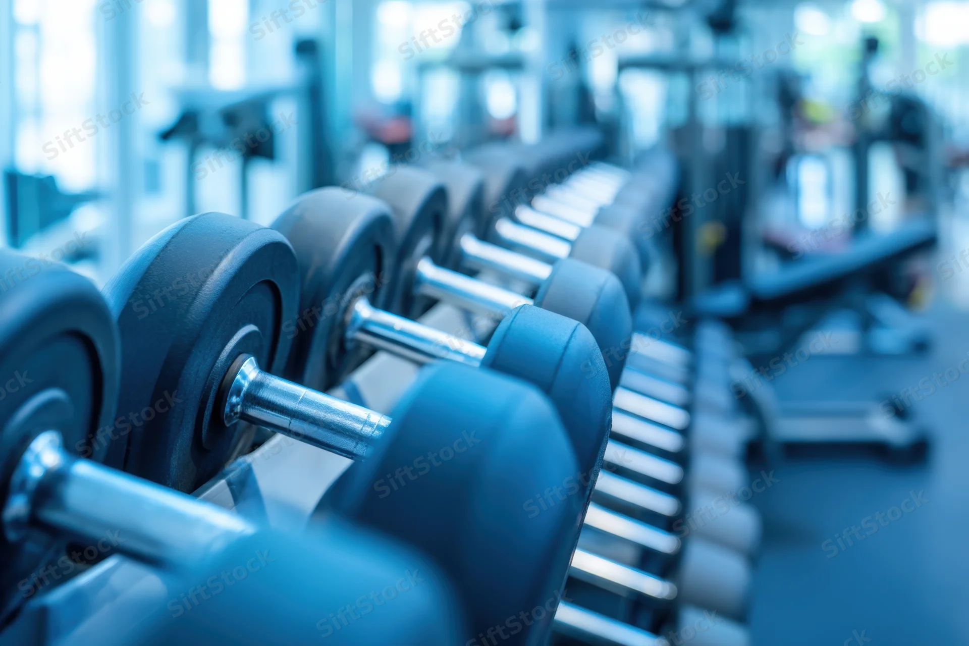 Row of dumbbells on a rack in a modern gym