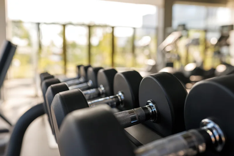 Row of black dumbbells on a rack in a modern gym