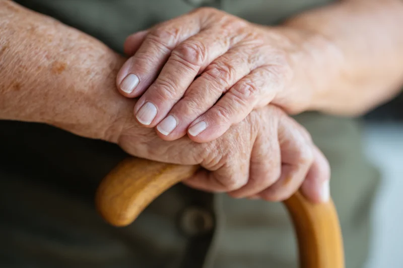Elderly hands clasped over a curved wooden cane