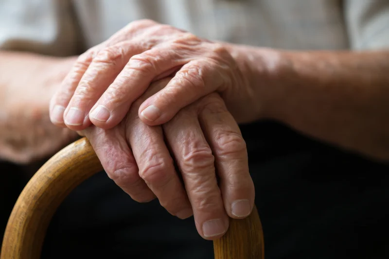 Elderly hands clasped over a curved wooden cane