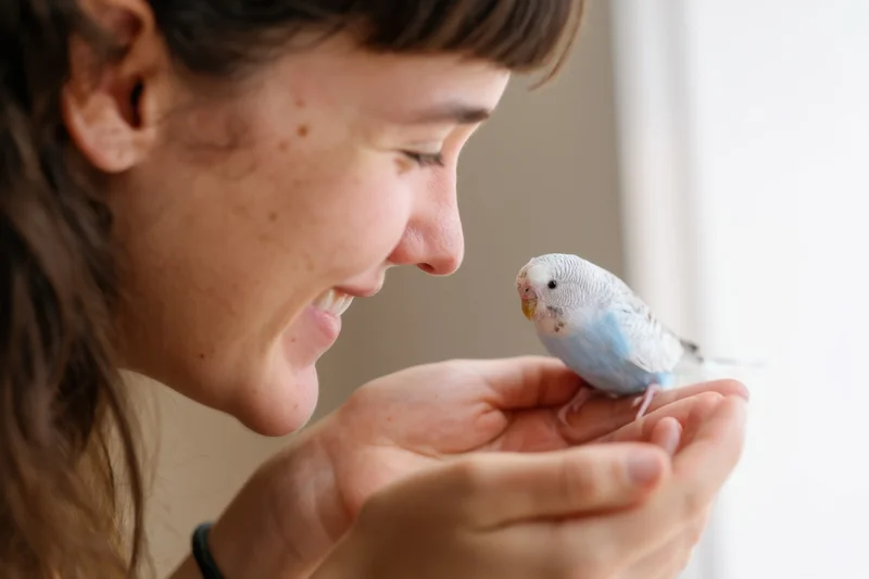 Woman smiling at a blue and white budgie perched in her hands indoors