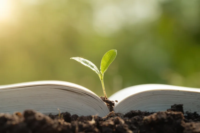 Small green seedling growing from soil placed between open book pages
