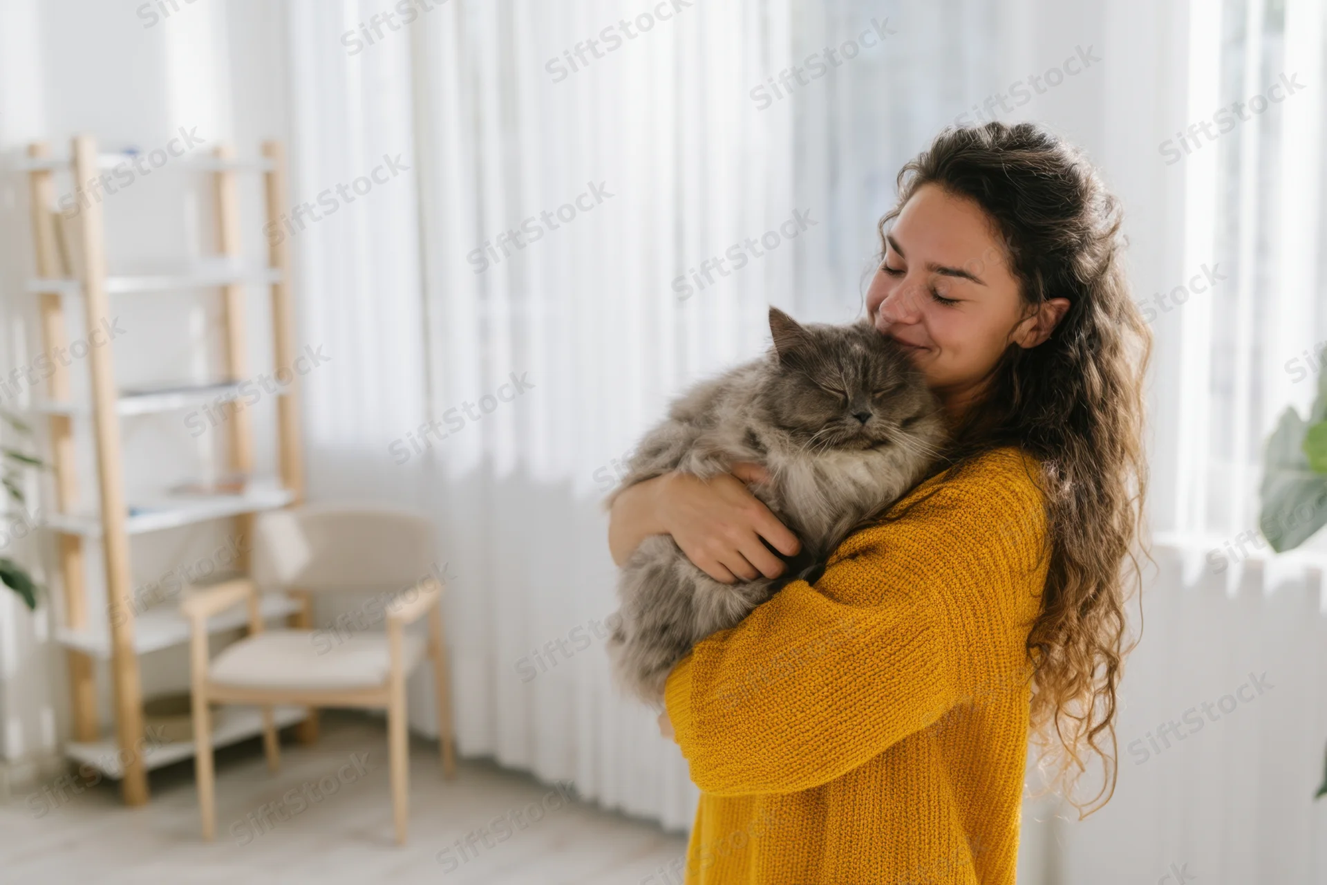 Woman hugging fluffy gray cat in living room wearing yellow sweater